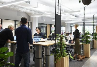 Modern open-plan office with sit-to-stand desks, indoor plants, and natural light.