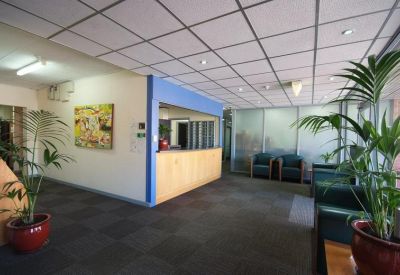 Bright reception area with a wooden front desk, blue accent wall, and indoor plants.