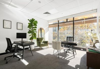 Bright private office featuring a large plant and city views through wide windows.
