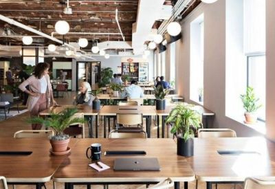 Sun-drenched open workspace with long wooden tables and indoor plants.