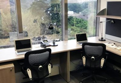 Bright shared workspace with two workstations facing large windows with park views.