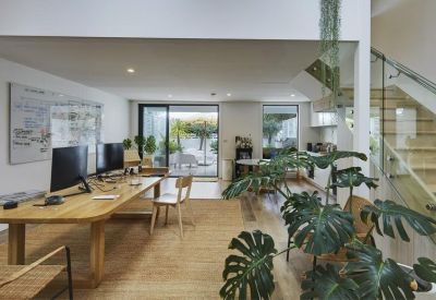 Open-plan office with timber desks, monitors, and large indoor plants.