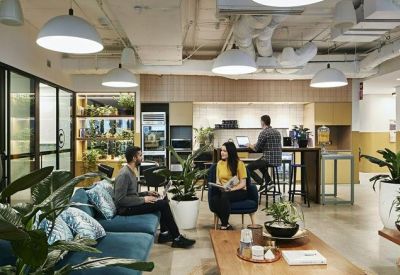 Bright communal lounge with blue sofas, indoor plants, and a kitchen area in the background.