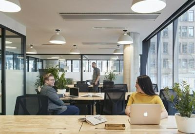 Sunlit open-plan workspace with wooden desks, ergonomic chairs, and indoor greenery.