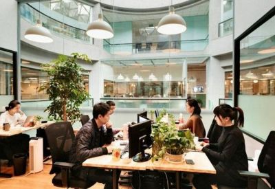 Open-plan office with multiple desks, indoor plants, and natural light from a central atrium.