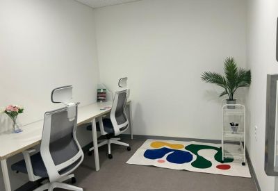 Private office featuring two desks, ergonomic chairs, and a colorful abstract rug.