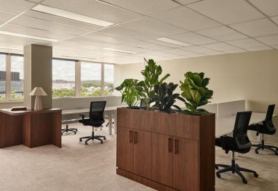 Open-plan office with desks, black ergonomic chairs, and large indoor plants.