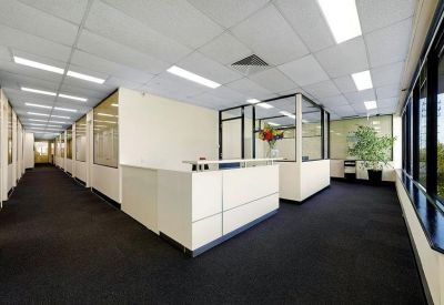 Bright office reception area with a white front desk and green potted plant.