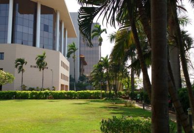 Lush garden path with palm trees and flowering bushes alongside a modern office building.