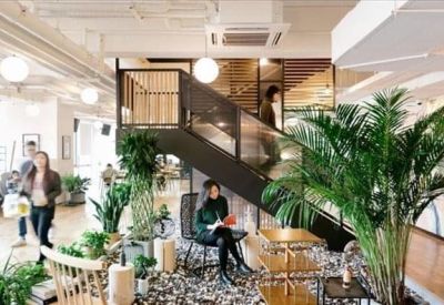 Bright reception area and internal staircase surrounded by lush indoor tropical plants.