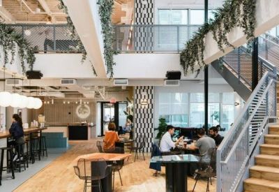 Multi-level communal space with wooden stairs and hanging greenery.