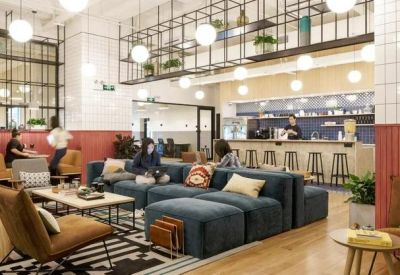 Spacious breakout lounge with blue modular sofas, leather armchairs, and industrial shelving with plants.
