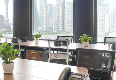 Open-plan office space with wooden desks, potted plants, and views of the Pudong skyline.