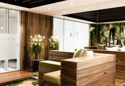 Nature-inspired lounge with tiered timber seating and indoor plants.