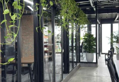 Glass-walled private offices along a bright corridor with hanging vines.