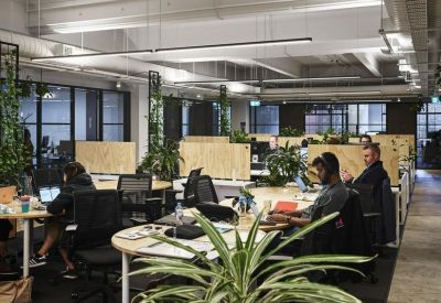 Spacious open-plan office with timber partitions, potted plants, and natural light.