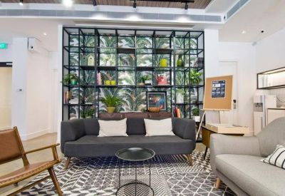 Bright breakout space featuring a dark sofa, patterned rug, and a floor-to-ceiling plant shelf.