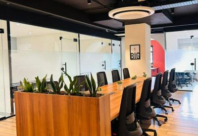Spacious co-working area with a wooden long desk, black ergonomic chairs, and indoor plants.