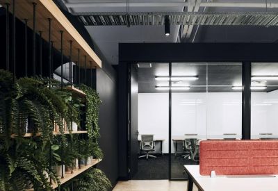 Open-plan office space featuring a lush green vertical garden partition.