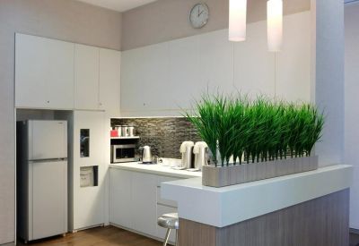 Modern communal kitchen with wooden floors and a grass-lined breakfast bar.