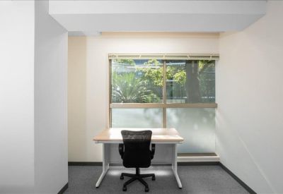 Single person workstation desk by a window with leafy views.
