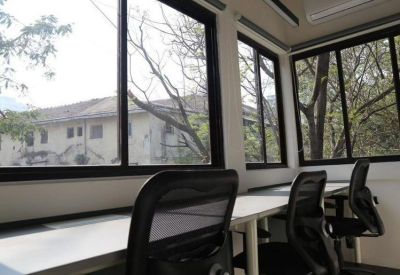 Sunny office workstations positioned beside large windows with leafy tree views.