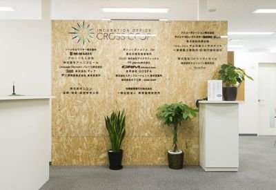 Reception area with a light wood-paneled feature wall and green potted plants.