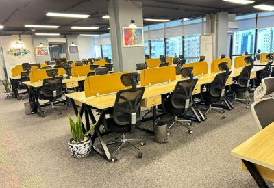 Bright coworking space with yellow dividers and a snake plant.
