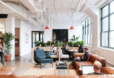 Bright coworking lounge with leather sofas, potted plants, and large windows.
