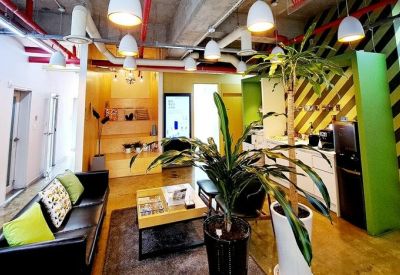 Vibrant breakout area with indoor plants, industrial ceiling, and striped wall decor.