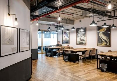 Bright coworking area with several long wooden tables and various framed bird illustrations.