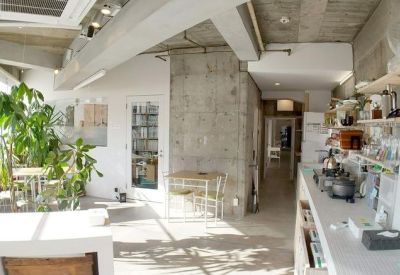 Bright sunlit cafe area with lush indoor plants and concrete pillars.