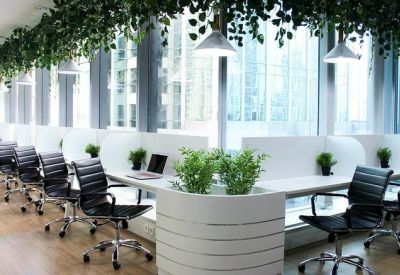 Bright open-plan office with rows of black ergonomic chairs and hanging greenery.