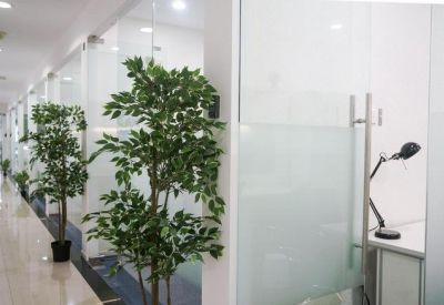 Bright office corridor with glass partitions and tall indoor trees.