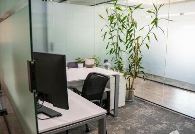 Small private office with desk, monitor, and tall bamboo plant behind a glass partition.