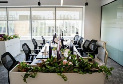 Bright open-plan office featuring rows of desks separated by long white planters with green foliage.