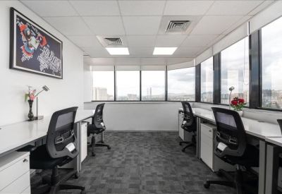 Bright multi-person office suite with grey carpet and large windows.