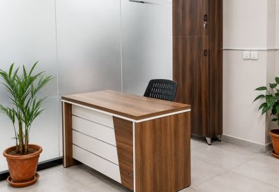 Private office suite with a wood-finish desk, tall storage cabinet, and indoor plants.