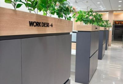 Row of gray filing cabinets topped with lush green plants separating office walkways.