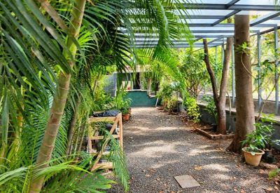Outdoor gravel walkway under a translucent roof surrounded by tropical palm trees and potted plants.
