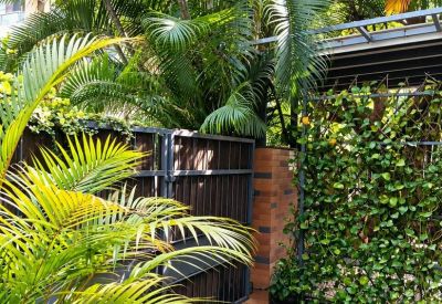 Tranquil outdoor corner featuring a vertical garden wall, wooden fencing, and vibrant greenery.