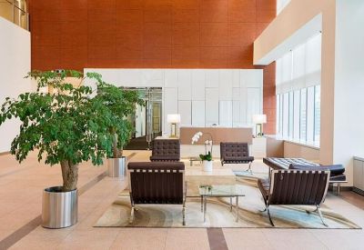 Spacious professional lobby with a light-filled reception area and comfortable leather seating.