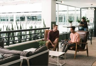Sunlit informal meeting space with leather armchairs and a view of indoor greenery.