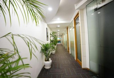 Bright office corridor lined with glass-walled suites and lush potted plants.