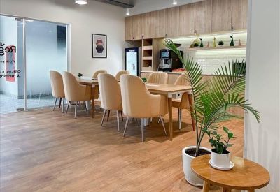 Bright communal dining area with wooden floors, neutral-toned armchairs, and lush green plants.