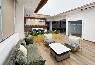 Spacious reception lounge featuring a green velvet sofa, grey armchairs, and indoor plants.