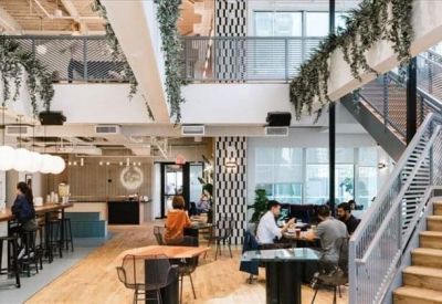 Multi-level reception and cafe area with a wooden staircase and hanging greenery.