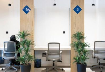 Coworking zone featuring wooden partitions, individual workstations, and indoor plants.