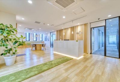Spacious reception area with light wood floors, a white front desk, and a large potted plant.