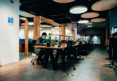 Open-plan office with timber workstations, individual desk lamps, and acoustic ceiling panels.